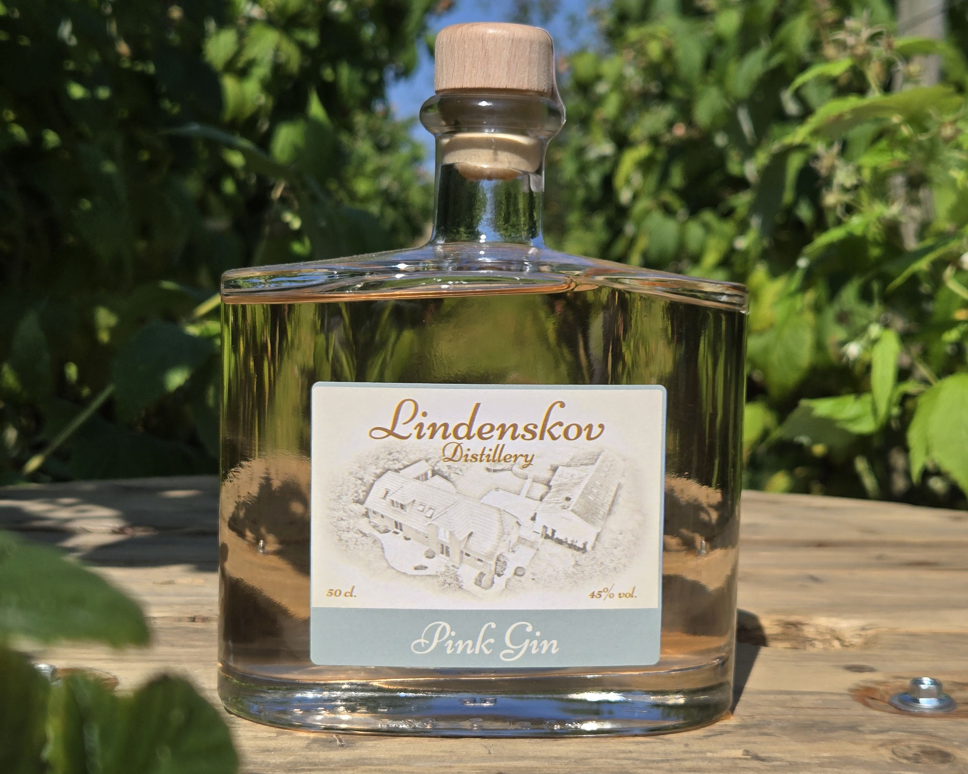 En flaske Gin